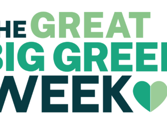 Great Big Green Week - A Snapshot 