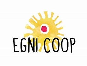 Egni Co-operative